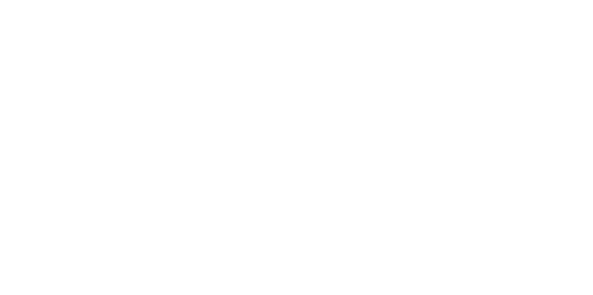 Hand Center of Northern Arizona Logo - White